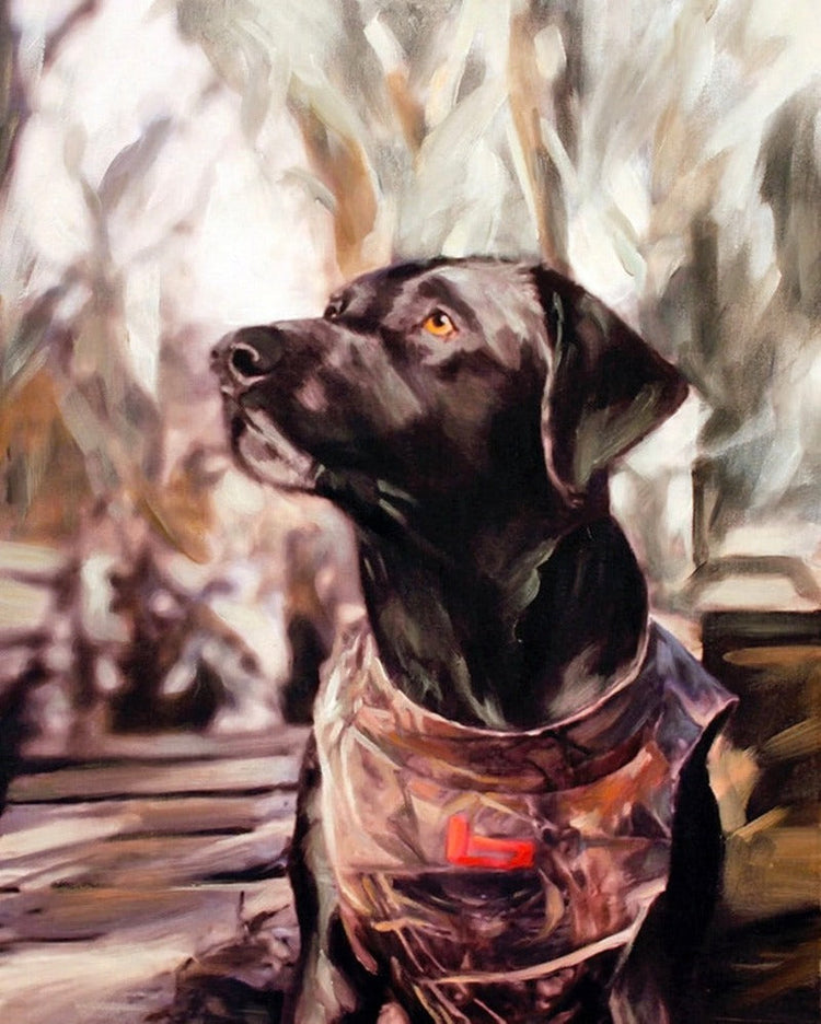 custom oil paint,Custom Pet Painting Australia, Impressionism Pet Painting, Commission Canvas Painting,canvas painting white,canvas paintings for sale uk,canvas selling website,canvas wall art painting,cape town art galleries,car drawing easy,carla sa fernandes,carla sá fernandes,carrington art,carrington artist surrealist